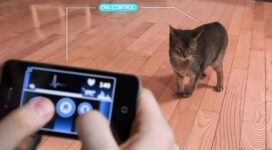 Control Your Pets With Your iPhone [Video]