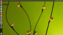 Download Ubuntu 11.04 Natty Narwhal