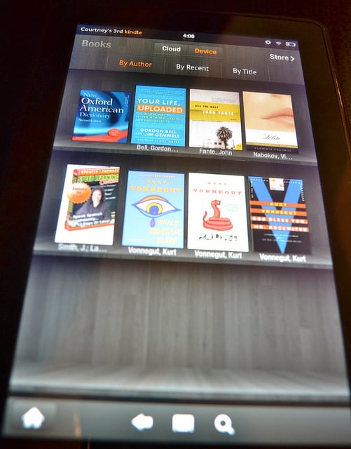 Read more about the article Kindle Fire Makes Hot Sale On Black Friday