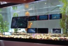 Fujitsu Next Target North American Mobile Phone Market