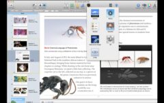 Create Your Own Books With The All-New iBooks Author For Mac