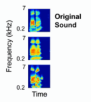 Science-Fiction Comes To Life, Researchers Find A Way To Read People’s Thoughts