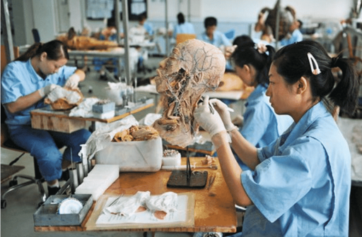 Read more about the article China Are Being Efficient In Creating Plastic Bodies