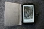 Kindle Fire Grabs 14 Percent Share Of The Tablet Market