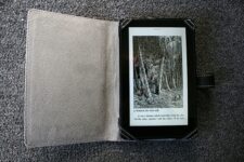 Kindle Fire Grabs 14 Percent Share Of The Tablet Market