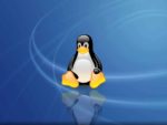 What Start-Ups Should Learn From Linux?