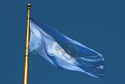 Read more about the article Hackers Infiltrates United Nations Website
