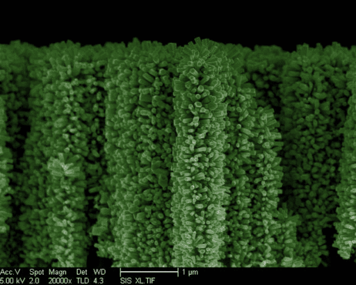 Read more about the article Nanowire Forests Using Sunlight To Split Water