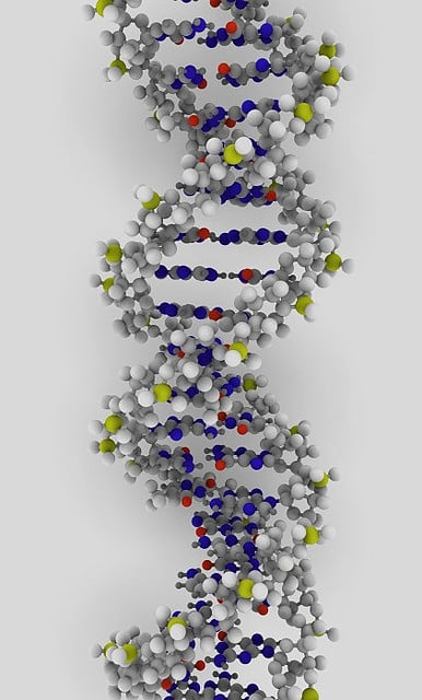 Read more about the article Genetic Details Of 1700 People Posted Online By Amazon