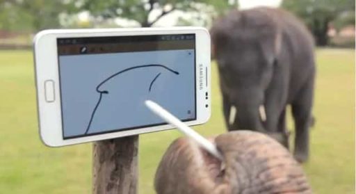 Read more about the article [Video] Elephant Plays With Galaxy Note – For Real
