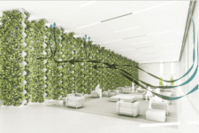 Giant Vertical Flower Pot Purifies Air