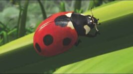 Rumored Photo Leak Of PS4 And Xbox 720