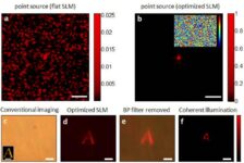 Camera Developed By Israeli Scientists Can See Through Skin