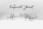 The Exquisite Forest: A Google Project To Create Interactive Videos Through Collaboration