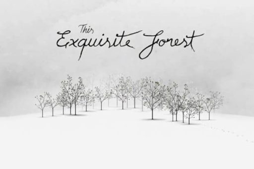 Read more about the article The Exquisite Forest: A Google Project To Create Interactive Videos Through Collaboration
