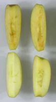 Genetically-Engineered Apples That Don’t Turn Brown When Cut