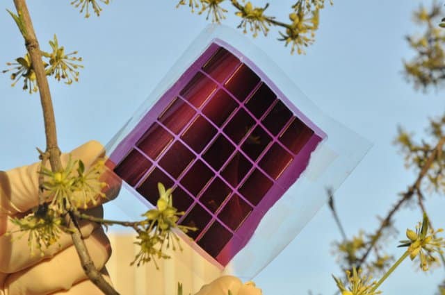 Read more about the article New Generation Of Fabricated And Flexible Organic Solar Cells To Increase Efficiency