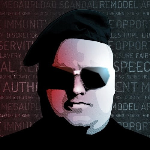Read more about the article Video of Raid On Kim Dotcom’s Mansion Revealed