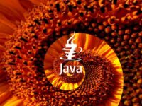 Java Zero Day Vulnerability Increase Blackhole Exploit Success Rate, Oracle Knew Beforehand