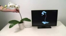 Disney Turns Plants Into Musical Device and Remote Control