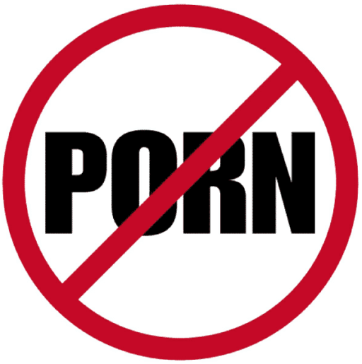 Read more about the article Iceland’s ISPs May Restrain Users From Directly Accessing Porn And Gambling Websites