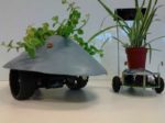 Plants Have Wheels! Going Towards Sunny Spots Riding On A Robot