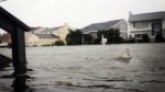 Counterfeit Photos Of Hurricane Sandy Swirl Around The Web