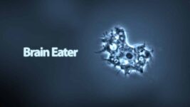 Brain-Eating Amoeba Causes Deaths, Spreads Panic In Pakistan