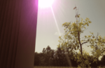 Apple Releases Statement Over iPhone 5 Lens Flare Issue