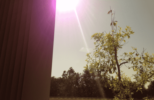 Read more about the article Apple Releases Statement Over iPhone 5 Lens Flare Issue
