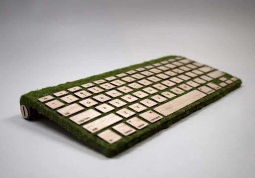 Read more about the article Natural Keyboard: A Way To Connect With Nature Through Technology