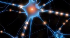 Google Improves Its Neural Networks, Achieves New Breakthroughs In AI