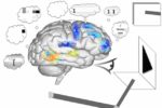 The World’s Largest Artificial Brain ‘SPAUN’ Passed IQ Tests