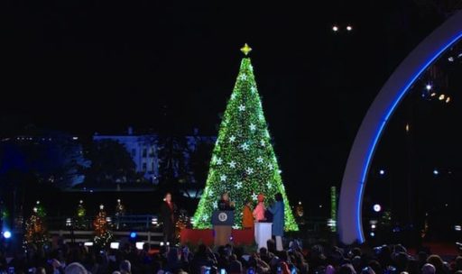Read more about the article This Year’s National Christmas Tree Will Be The Greenest Ever