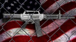 Gun Control Petition On White House Site Becomes The Most Popular Ever