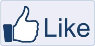 Rembrandt Sued Facebook Over ‘Like’ Button