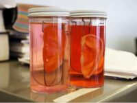 After Creating Artificial Nose, Researchers Heading To Make Artificial Heart In Lab