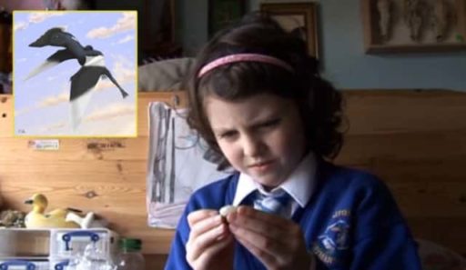 Read more about the article Dinosaur Named After Girl Who Discovered Its Fossil When She Was 5