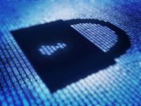 Critical Security Vulnerability Found In US Federal Government Contractors Site