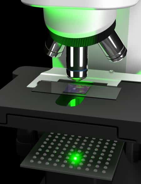 Read more about the article Researchers Devised A Method To Turn Standard Microscope Into Giga-Pixel Imager