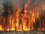 NASA Demonstrates How The Risk Of Wildfire May Increase In North America