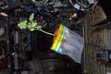 NASA Plans To Farm Vegetables In Space