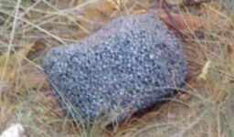 Mysterious Shining Rocks In Mexico Cause Intrigue