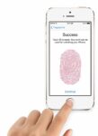 iPhone 5S Touch ID Doesn’t Work With A Severed Finger
