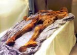 Scientists Find 19 Living Relatives Of 5300-Year Old Ötzi The Iceman