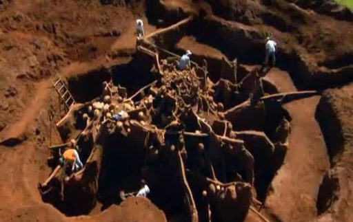 Read more about the article [Video] Researchers Excavate Unbelievable Giant Ant Colony Built Underground