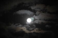 Researchers Possibly Found First Alien Moon