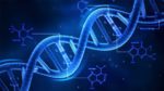 Scientists Discovered A Second DNA Code Within Human Body!