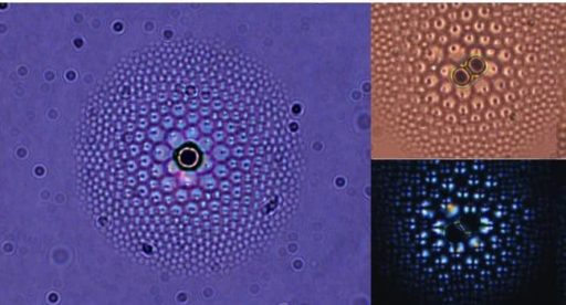 Read more about the article Scientists Grow Liquid Crystal Flowers That Can Be Used As Lenses