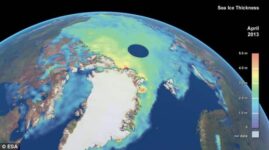 Arctic Sea Ice Increases By 50% Over A Year